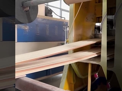 Wand-Fabrik-direktes wasserdichtes WPC schalldichte und feuchtigkeitsfest