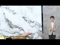 Neues Produkt Marmor, Bambus, Holzkohle, Holzfurnierplatten, Dekorationswandplatten für Innenräume