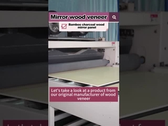 Warm verkauftes Produkt 5MM 8MM Holz Getreide Holz Veneer Bambus Holzkohle PVC Wandplatte