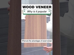 Feste Breiten-hölzerne Korn-Furnierholz PVC-Wand der Innenausstattungs-1.22m