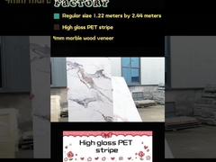 Bambus Holzkohle Veneer PET Marmor Textur Dekorative PVC Wandplatte PET Wandplatte