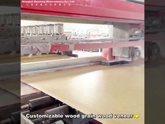 2.44m Bamboo Holzkohle Wandplatte Moderne Licht Luxus kundenspezifische Länge PVC Carbon Kristallwandplatte