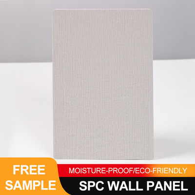 Spc Wandplatten Neuer Trend 600*2440mm Wasserdichtes Steingestell Plastikwandwand Umweltfreundliche Innendekoration für Platten Bad Und Dusche
