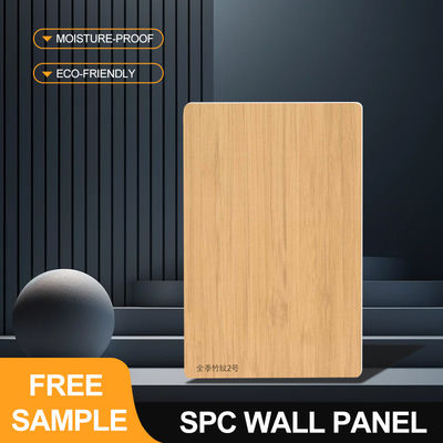 SPC-Wandplattenförderung 600*2440*4mm Wasserdichtes Stein-Plastik Umweltschonendes Einfaches Modernes Dekor Wandplatten Für Bad Und Dusche